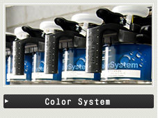 Color System